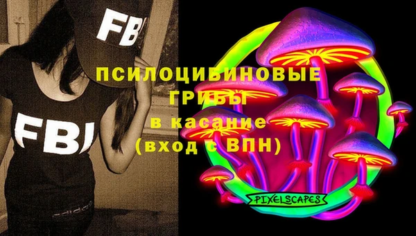 apvp Медногорск