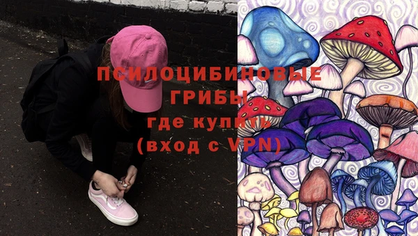 герыч Болотное