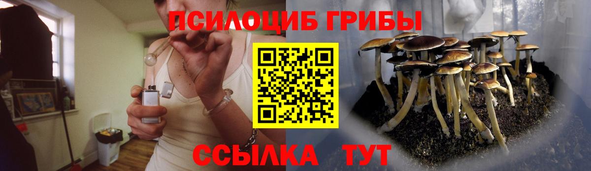 Галлюциногенные грибы Psilocybine cubensis  Вход с VPN  Курск 