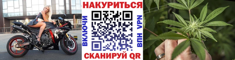 где купить Курск МАРИХУАНА сатива